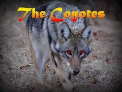 Image for The Coyotes