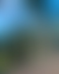 Artist 8852808 1715108683