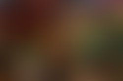 1398890831 99b3873fe591c0944b3262870ffa745209e04196