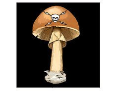 Image for Goldstool