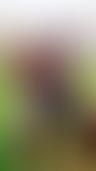 Fb img 16880146359225056