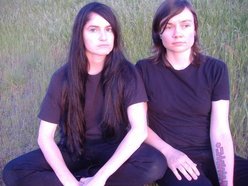 Image for PALO VERDE