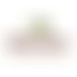 Wos usa   profile picture square logo