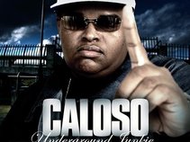 CALOSO360