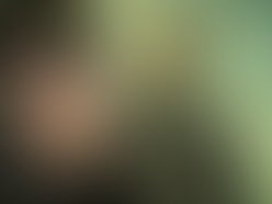 Treated photo 1 1 1298417253 1298417341