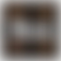 Bot album art 2 png