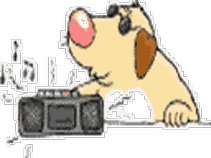 Stone Wall Willie ™