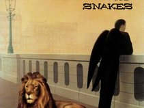 Who Understand The Snakes