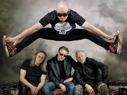 Image for DOGS ON LEAD