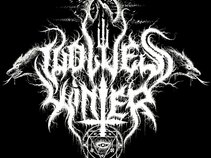 Wolves' Winter
