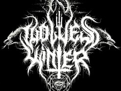 Image for Wolves Winter