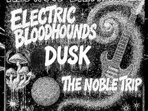 Electric Bloodhounds