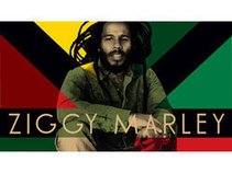 Ziggy Marley