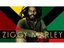 Ziggy Marley