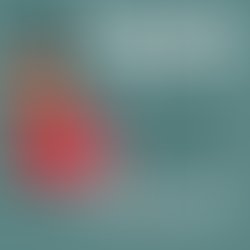 Img 20231114 202722 601