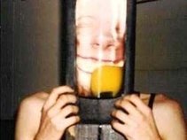 wallybrain
