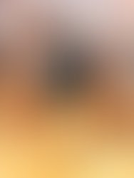 Img 20240804 wa0009 1722805236337