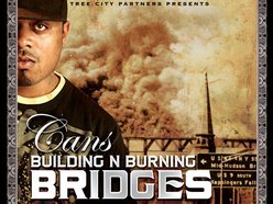 Image for Bridges
