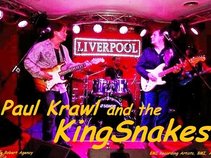 Paul Krawl and the KingSnakes