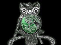 Digiowl