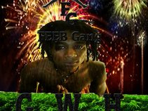 Gator Marley