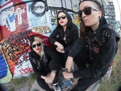 Image for The Venomous Pinks