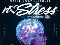 MAINE GWAP
