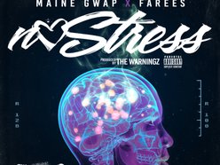 MAINE GWAP