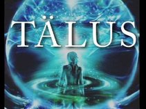 Level Se7en (now Talus)