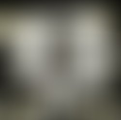 1382386448 8e0e321175d933376d2e07fde95948a0