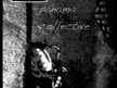 Panama Collective