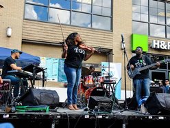 Image for Chelsey Green and The Green Project