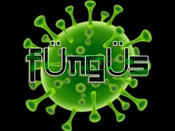 Image for FUNGI
