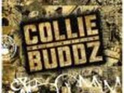 Image for Collie Buddz