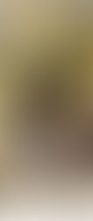 Img 20250101 161816 589