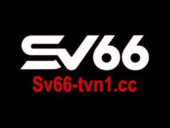 Khám Phá Thế Giới Sv 66 - Tại Sao Nên Chọn Sv 66 Cho Cuộc Sống Tươi Đẹp Hơn
