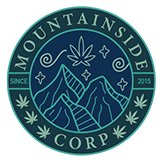 ReverbNation profile picture for @mountainside