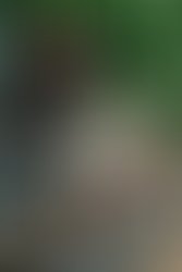 440c8ea0af681e943eaedc83cf46c9e48a672154