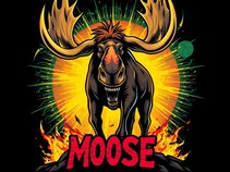 MOOSE