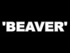 ReverbNation profile picture for @beaver
