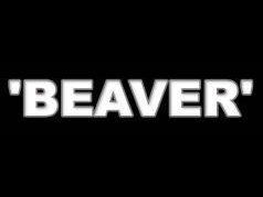 Image for 'BEAVER'