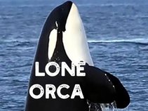 Lone Orca