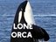Lone Orca