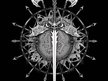 TYRANTS BLOOD