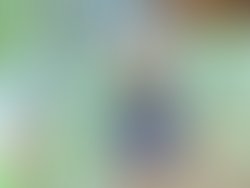 Img 20250113 080143 hdr 2