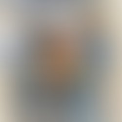 Nfretrocollectioncover