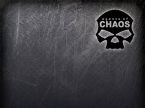 Agents Of Chaos