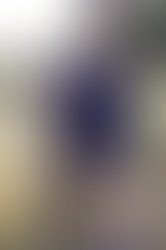 1406938512 dsc 0624 1288406130