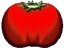 BigLoveTomato