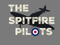 The Spitfire Pilots
